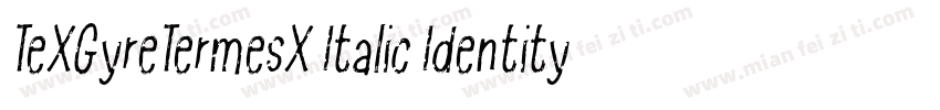 TeXGyreTermesX Italic Identity H字体转换